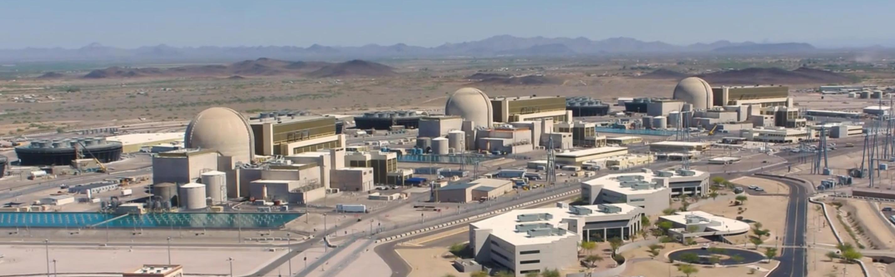 Palo Verde. (Still from moving image: https://www.paloverde.com.)